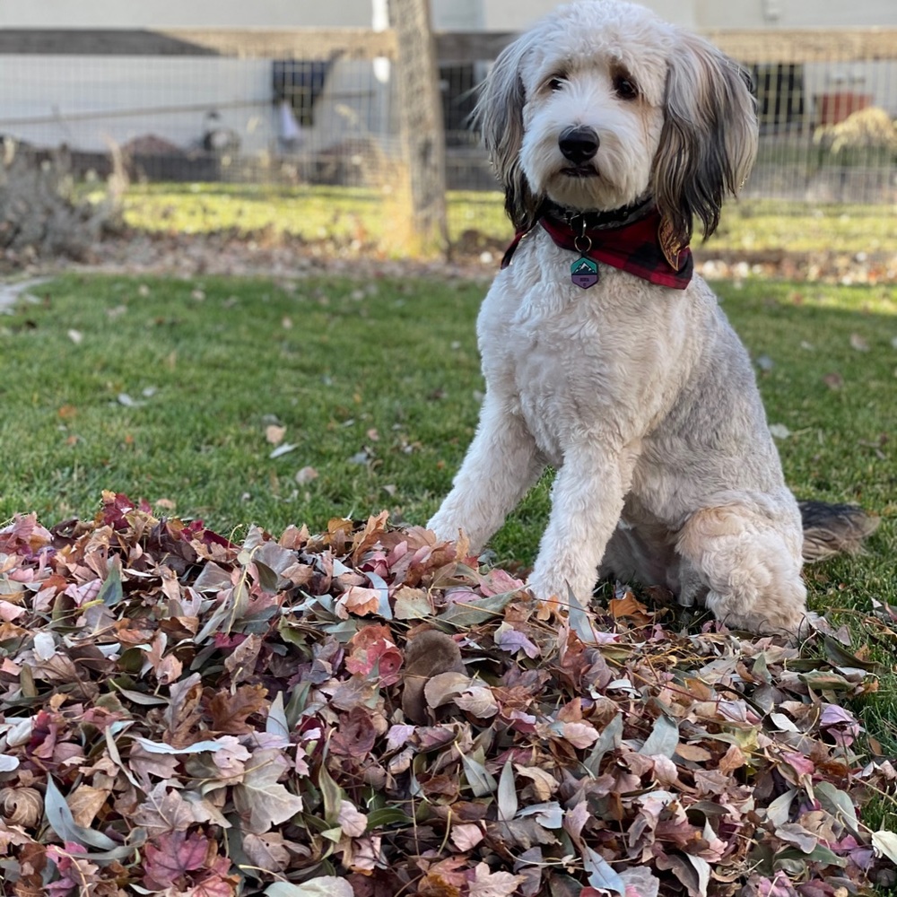 Meet your Posher, Lyndsey